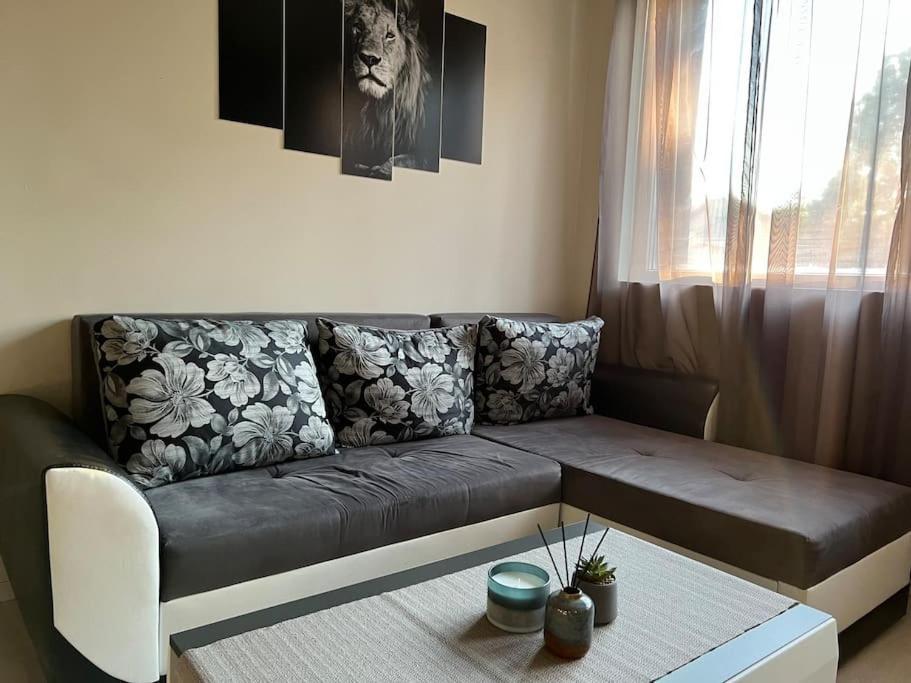 Sof Apartment'S Sofia Zewnętrze zdjęcie